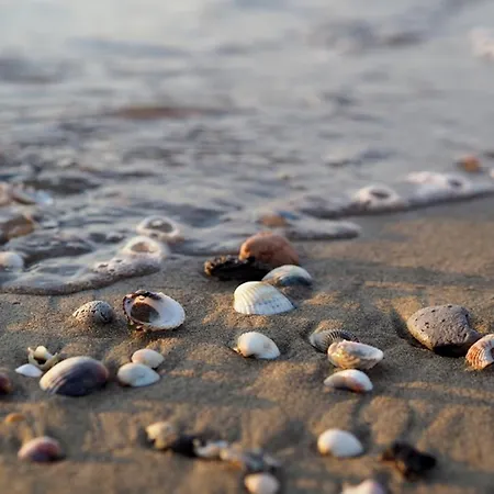 شقة Seaside Bliss Modern Comfort With Sea View *